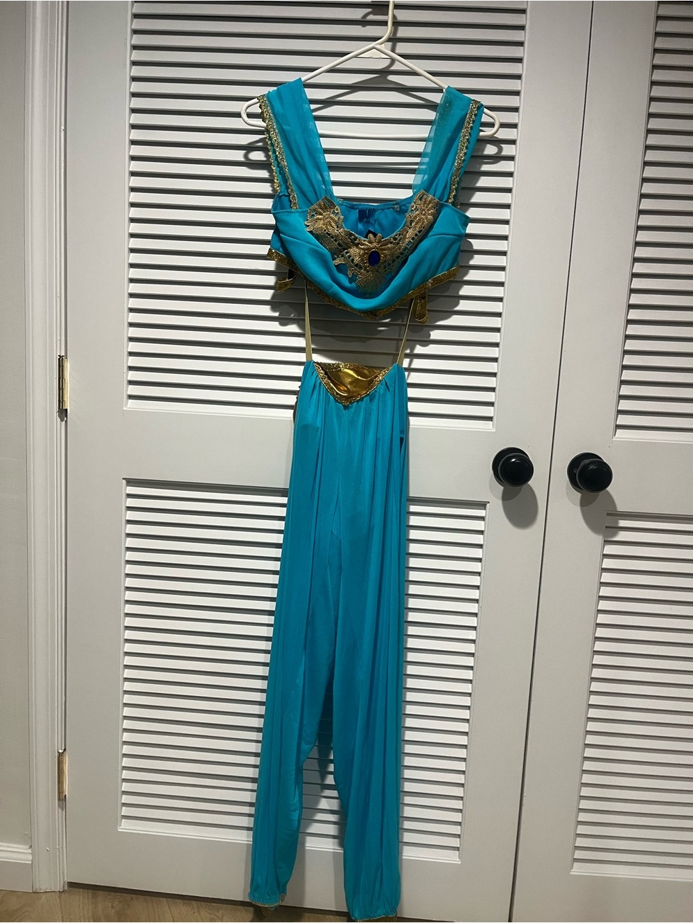 Leg Avenue Turquoise and Gold Two-Piece Backless Harem Dress